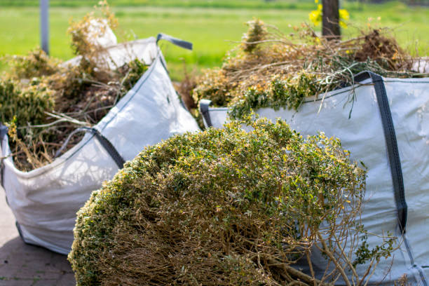 Best Garage Cleanout Services  in Collinsville, VA