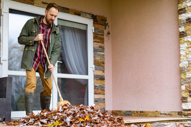 Best Furniture Removal Near Me  in Collinsville, VA